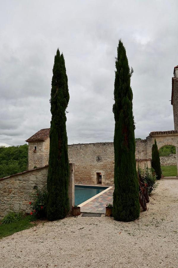 Chateau De Pleneselve Bon-Encontre Экстерьер фото